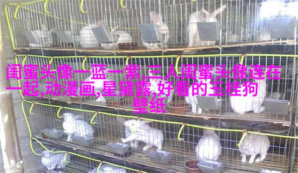 女生闺蜜头像两张一对不带字