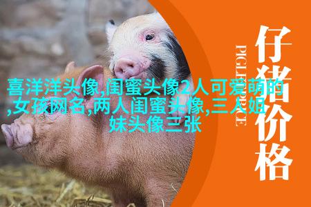 闺蜜头像单人真人图片(22张)