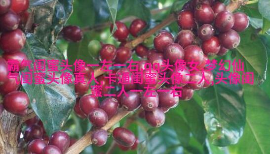 超拽两闺蜜头像一人一张