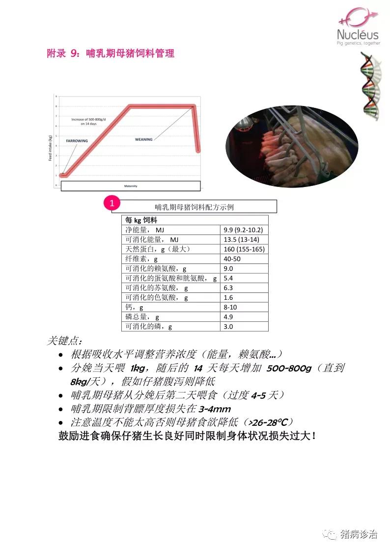 高级质感的女生头像(共24张)