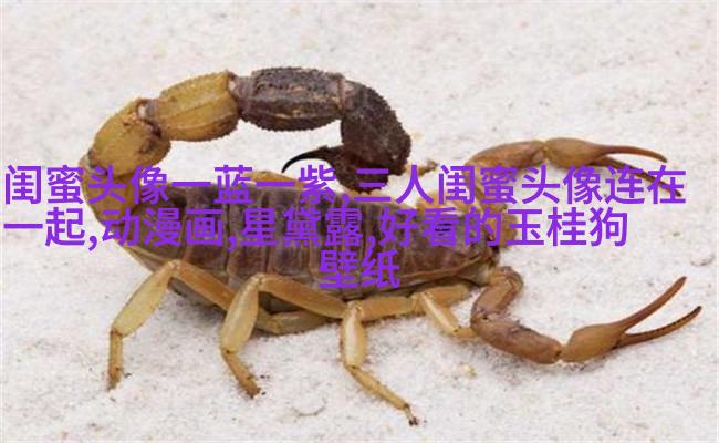 女生闺蜜头像两张一对不带字