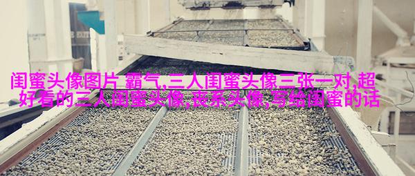 清新可爱的两闺蜜头像