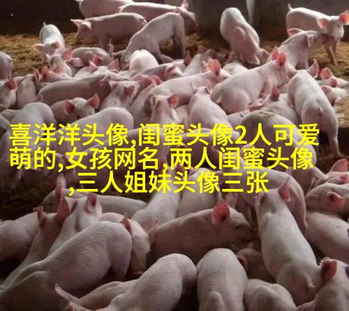 闺蜜头像单人真人图片(22张)