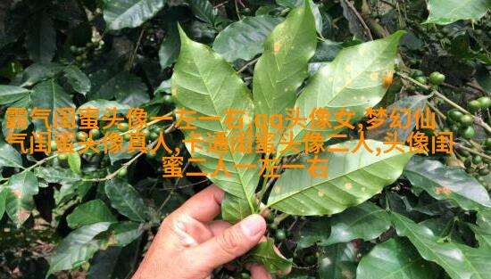 超拽两闺蜜头像一人一张