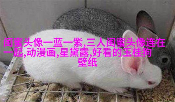 女生闺蜜头像两张一对不带字